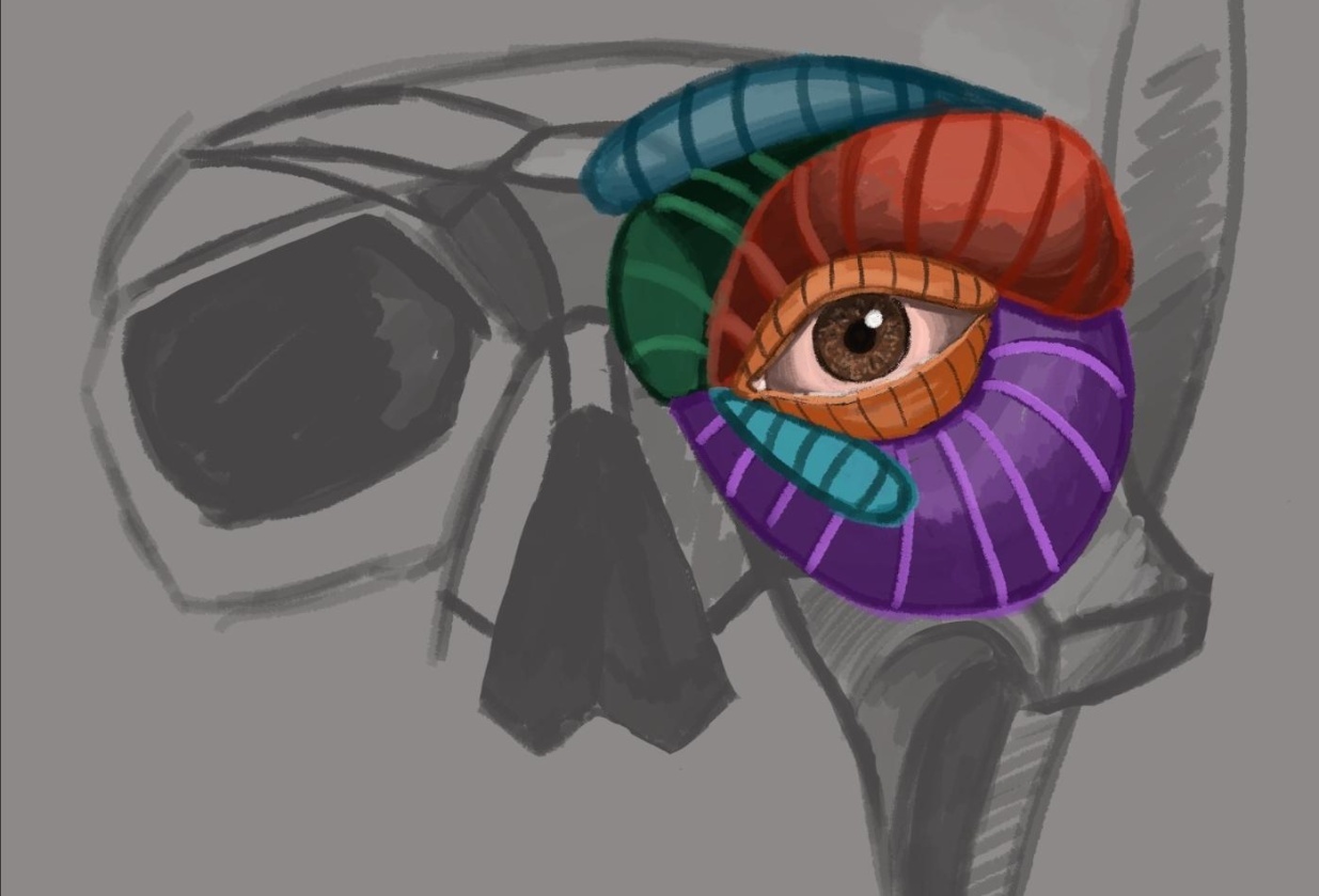 Drawing eye based on the class material - student project
