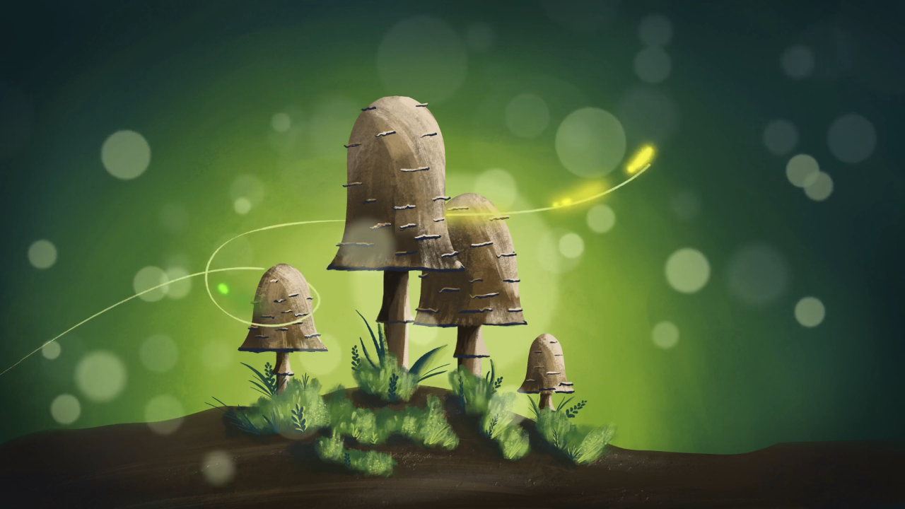 more-projects-from-class-img