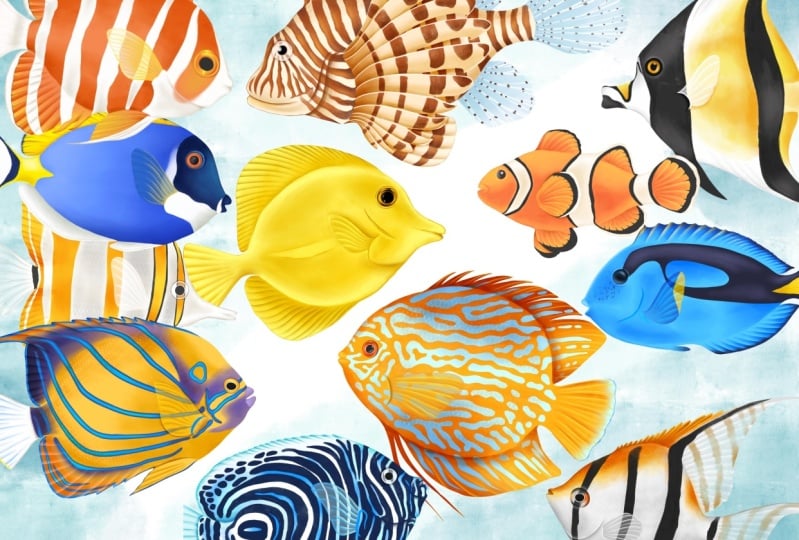 Illustrate Tropical Fishes In Procreate