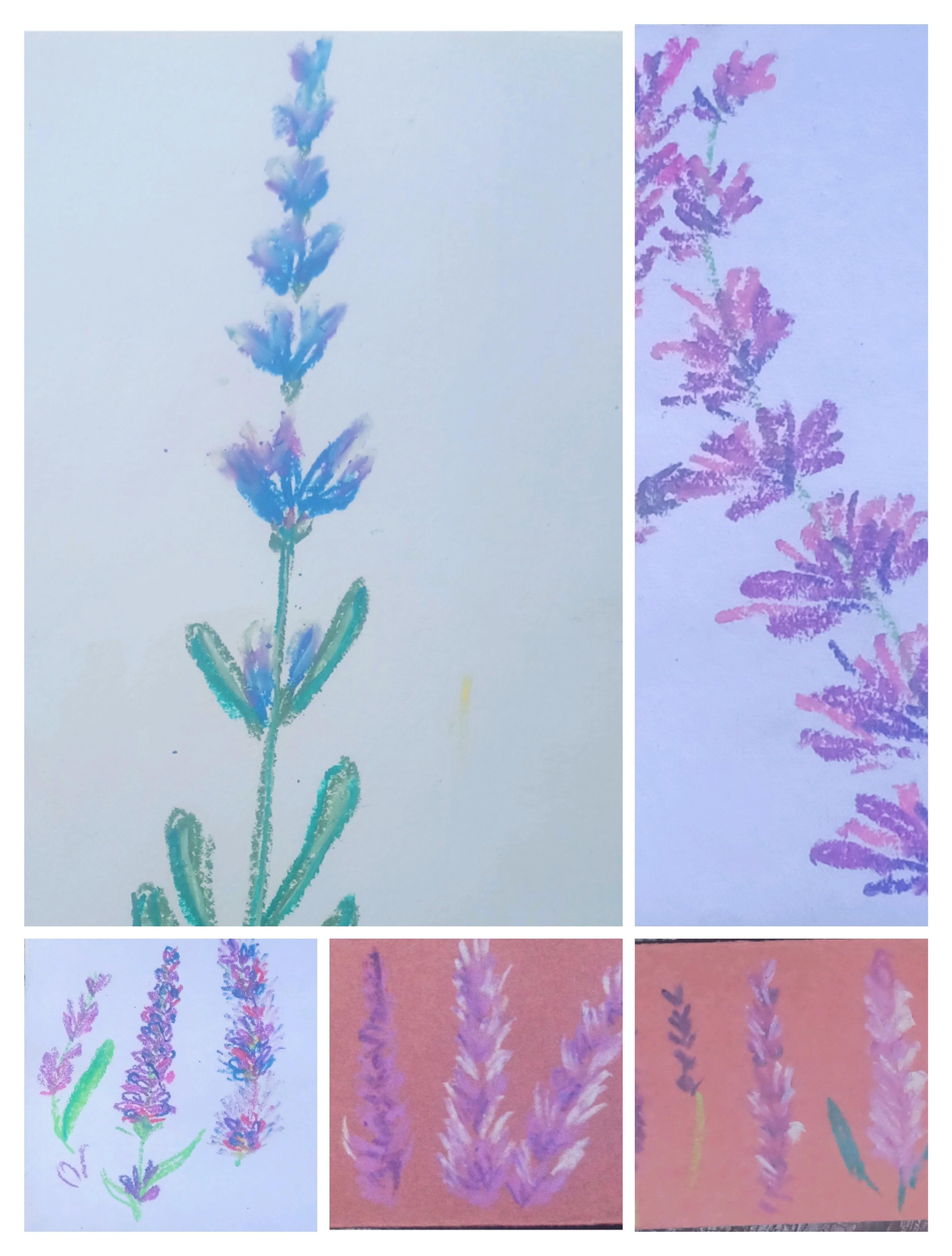 more-projects-from-class-img