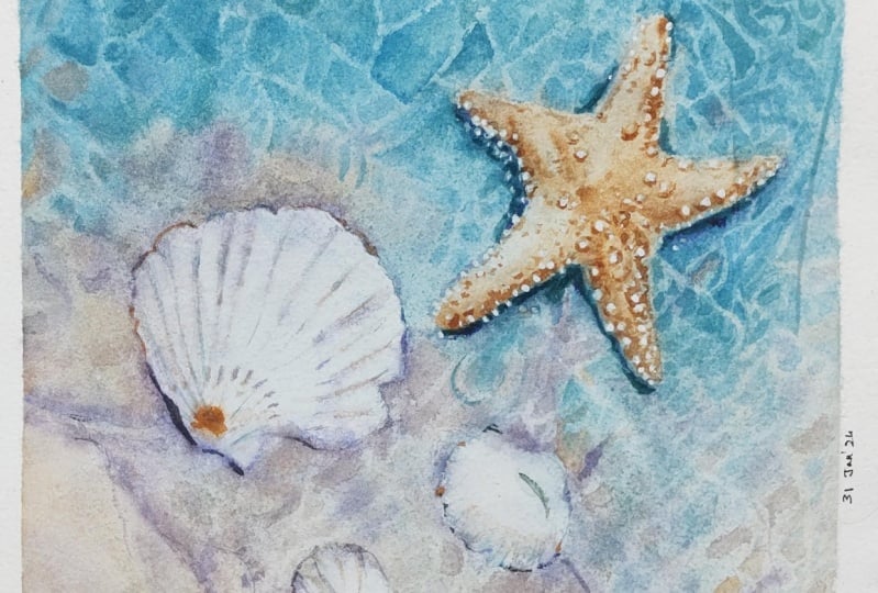 Transparent water with shells and starfish