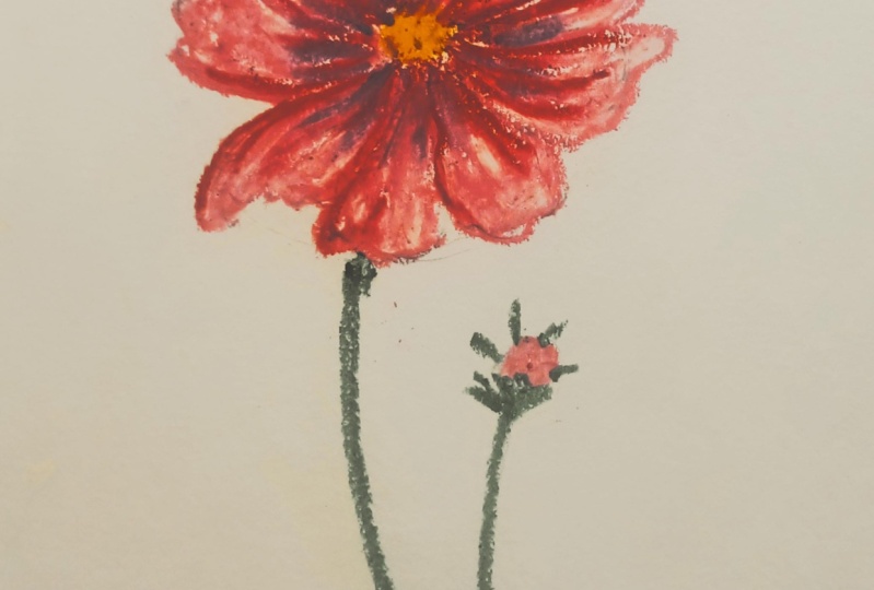 Cosmos