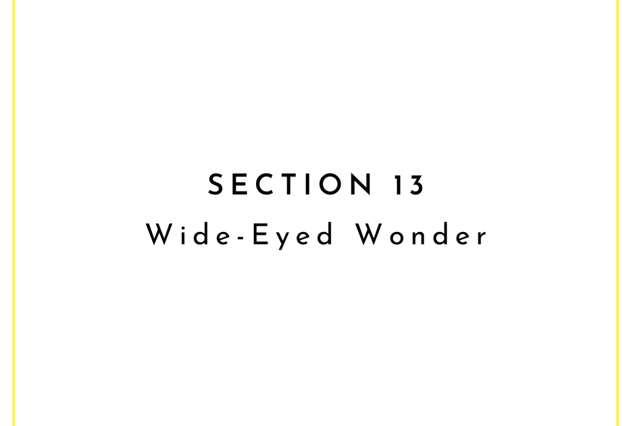 Field Guide Example: Wide-Eyed Wonder - student project