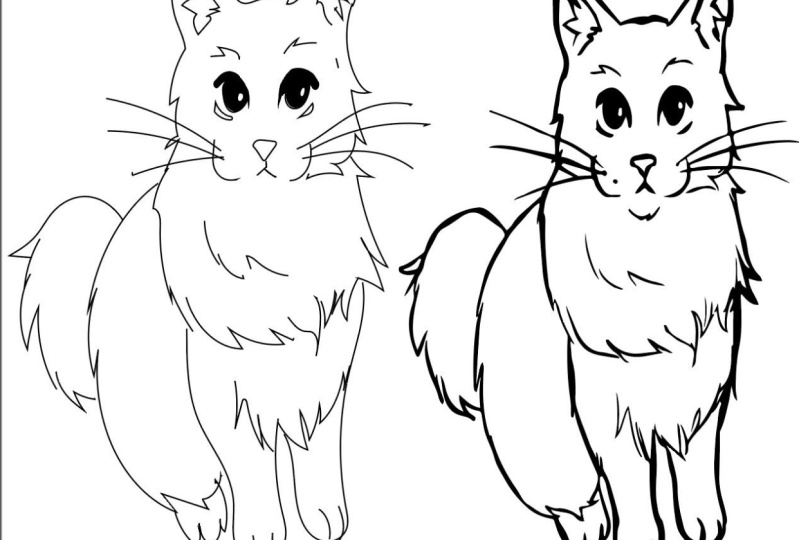 kitty