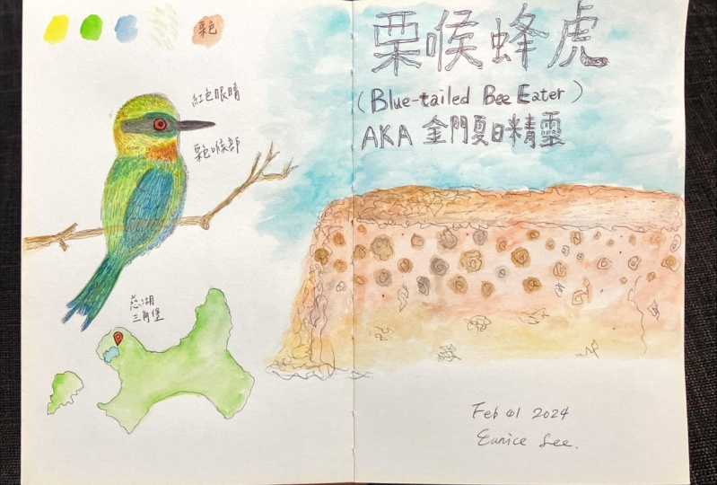 Blue-tailed Bee Eater