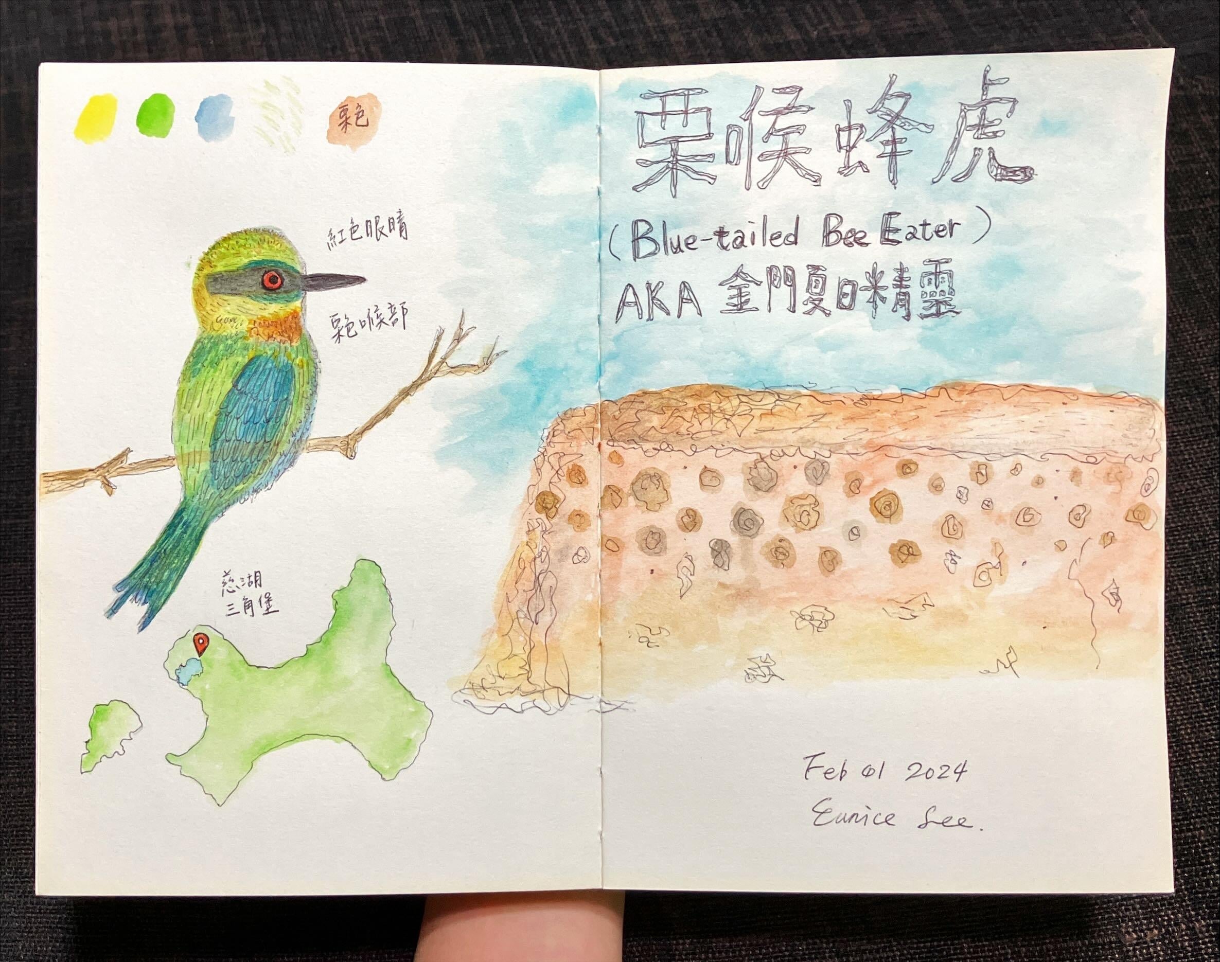 Blue-tailed Bee Eater - student project