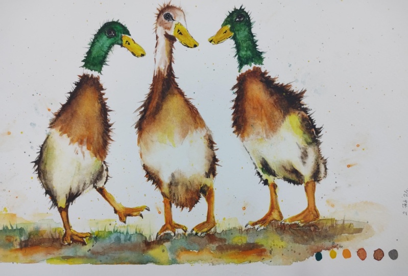 Quirky, pretty and loose runner ducks