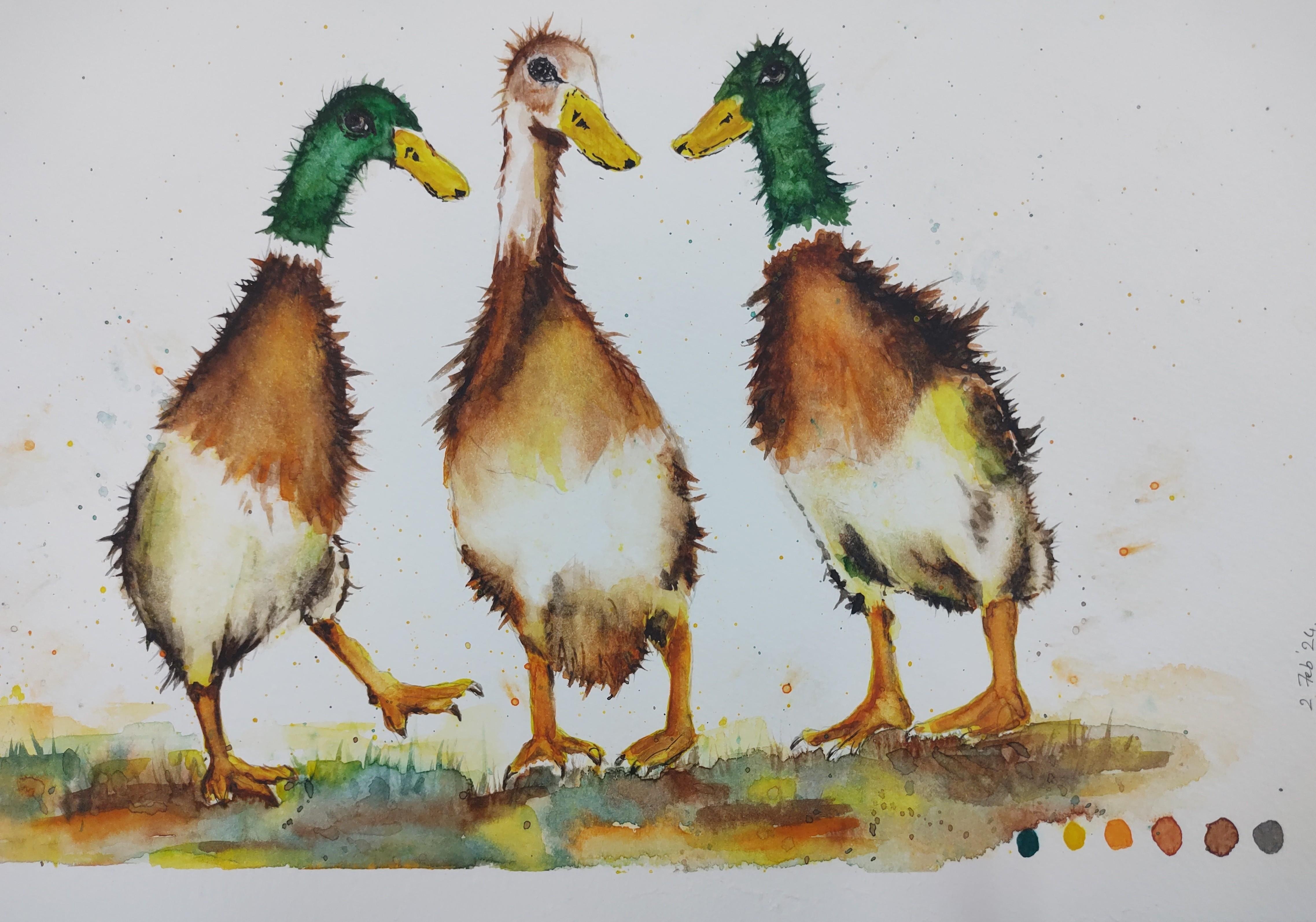 Quirky, pretty and loose runner ducks - student project