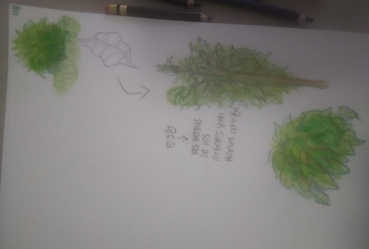 Plants :D - student project