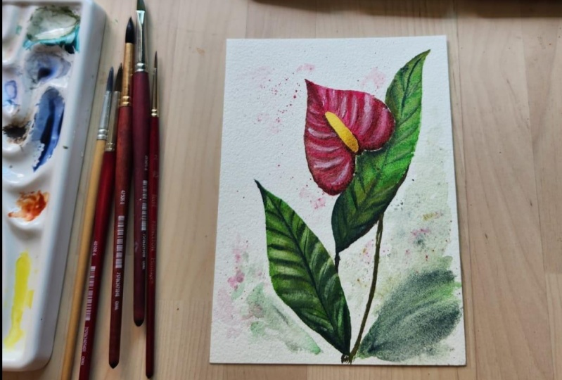 Tropical Flower Anthurium