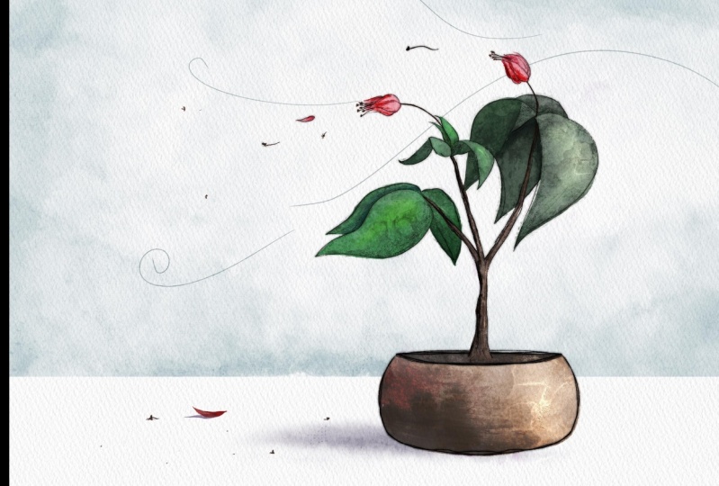 Flowers in the Wind / Winds of Change