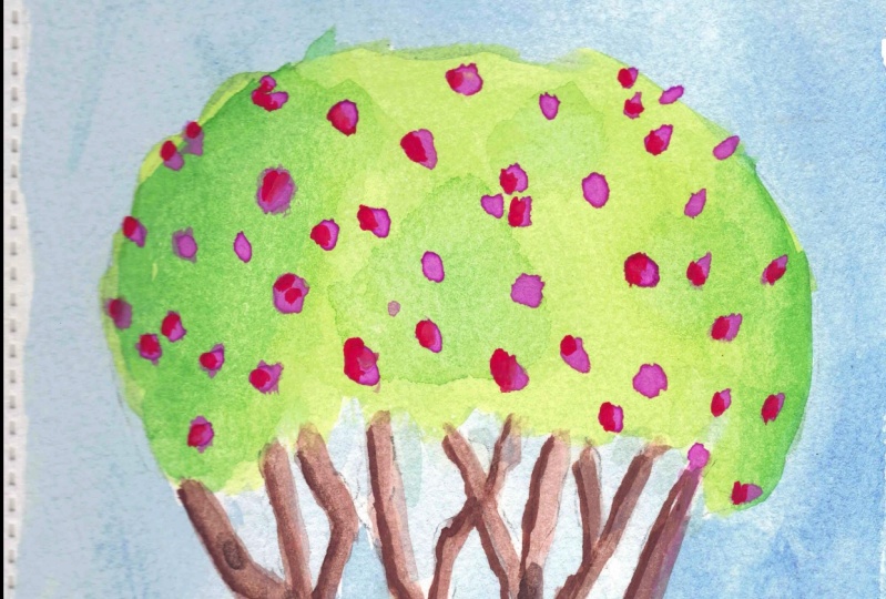 South American Tree