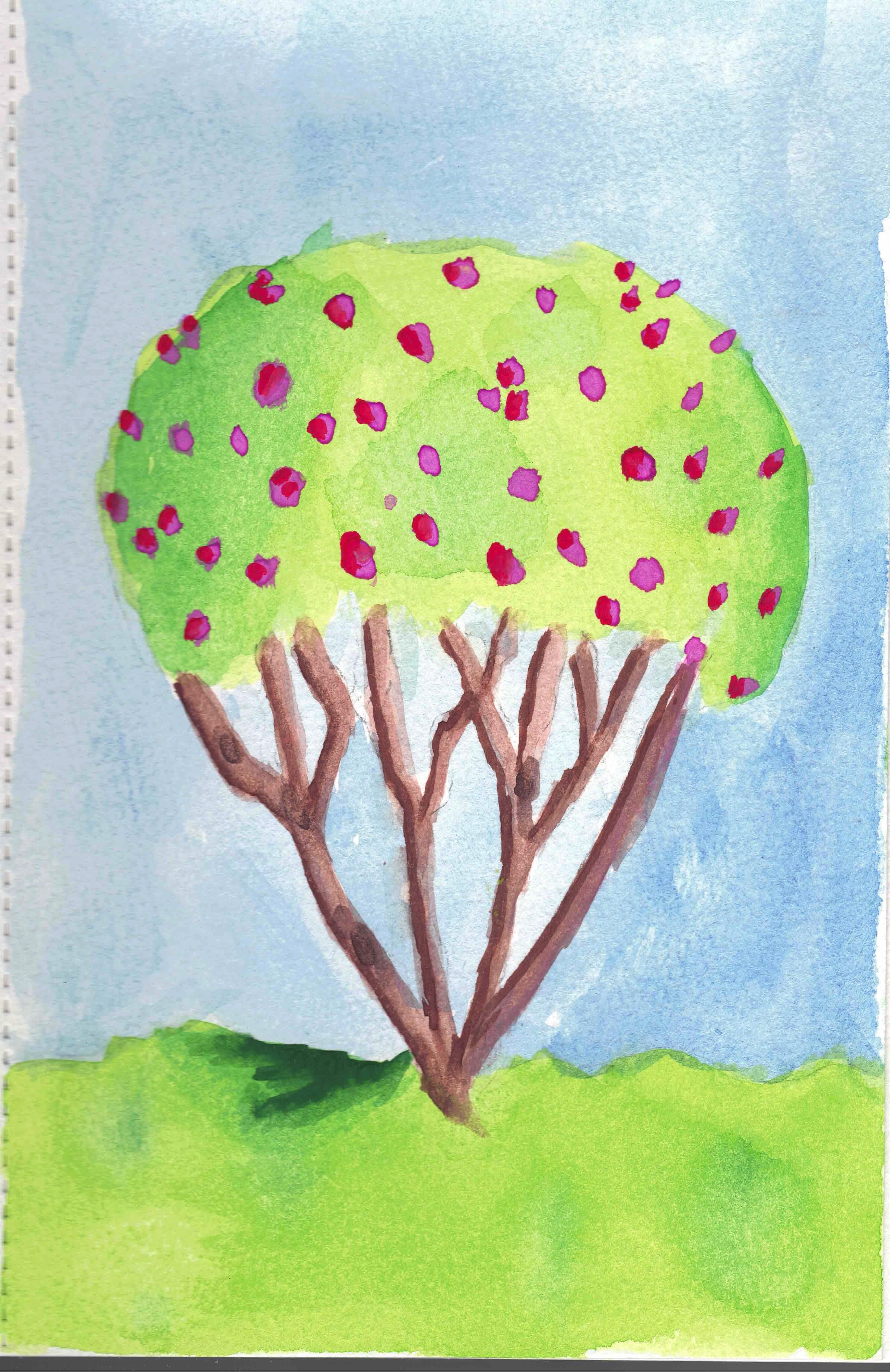 more-projects-from-class-img