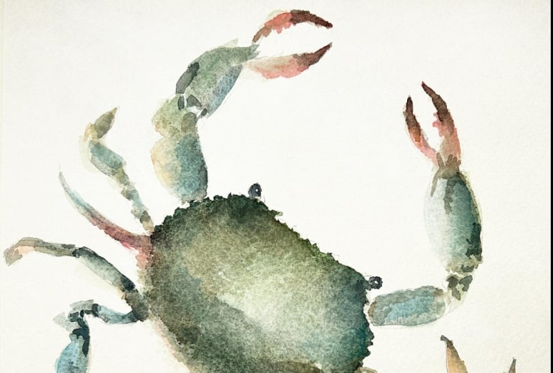 Blue Claw Crab