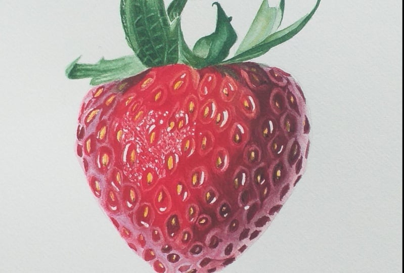 watercolor strawberry