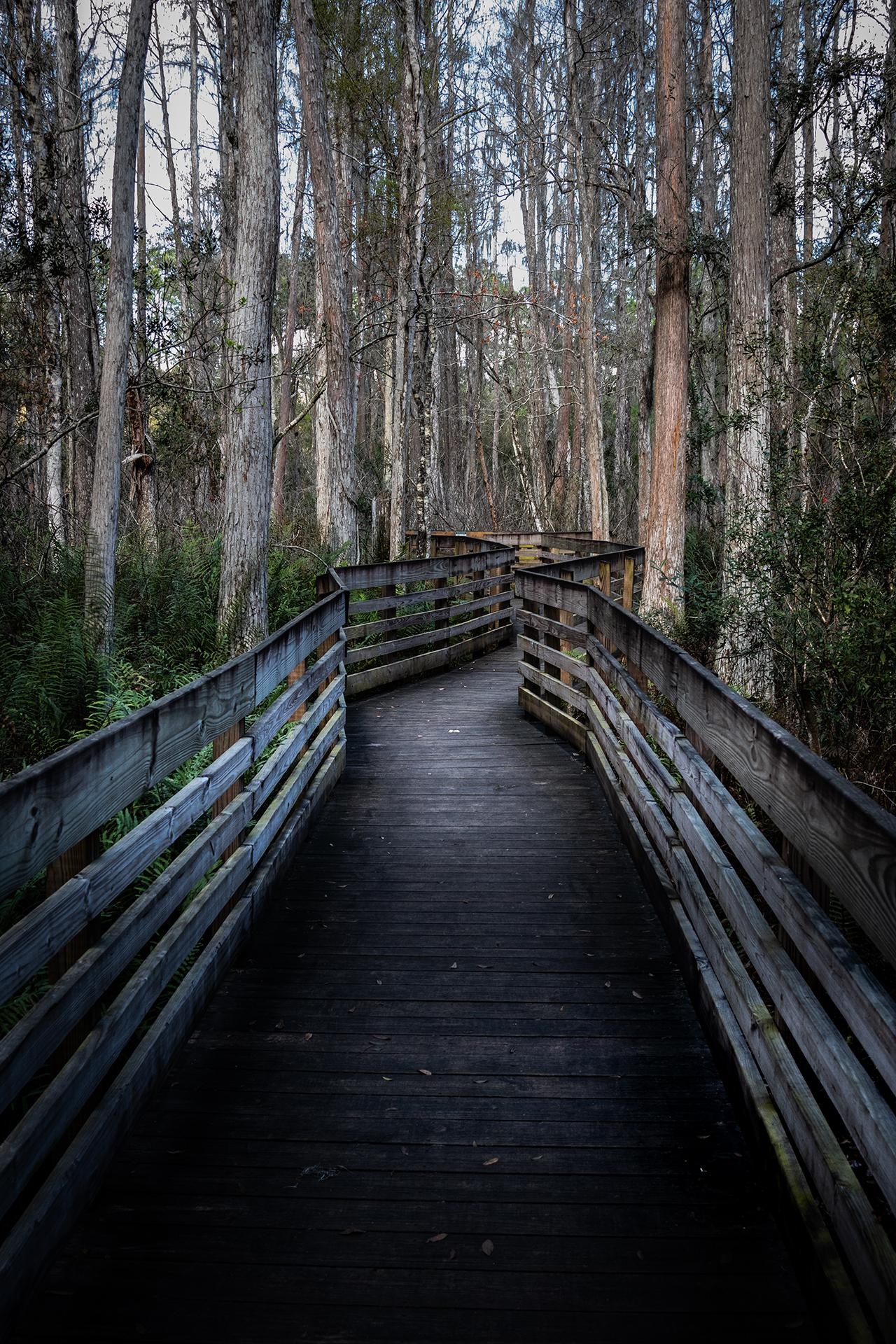 Curve path - student project