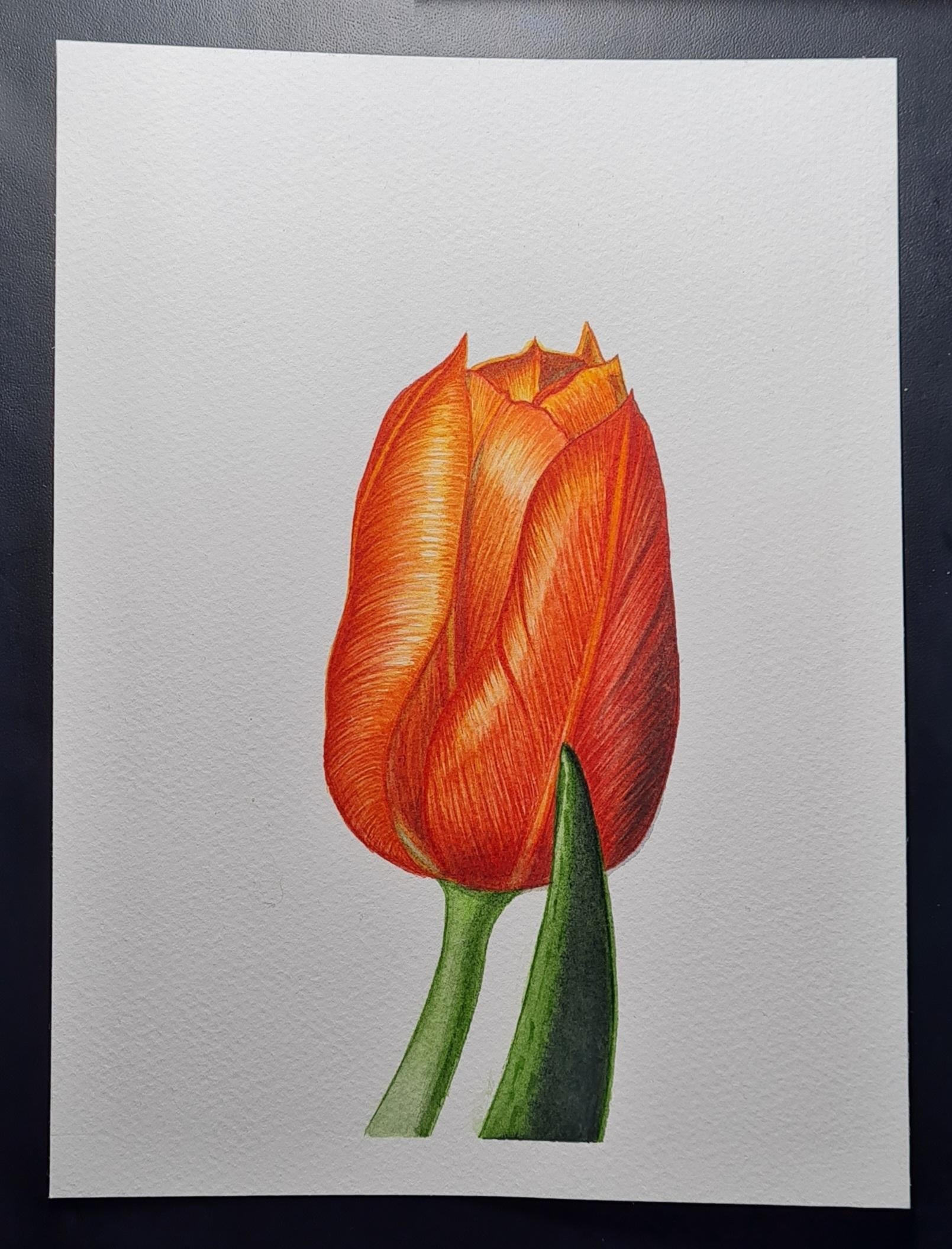 Watercolor floral - student project