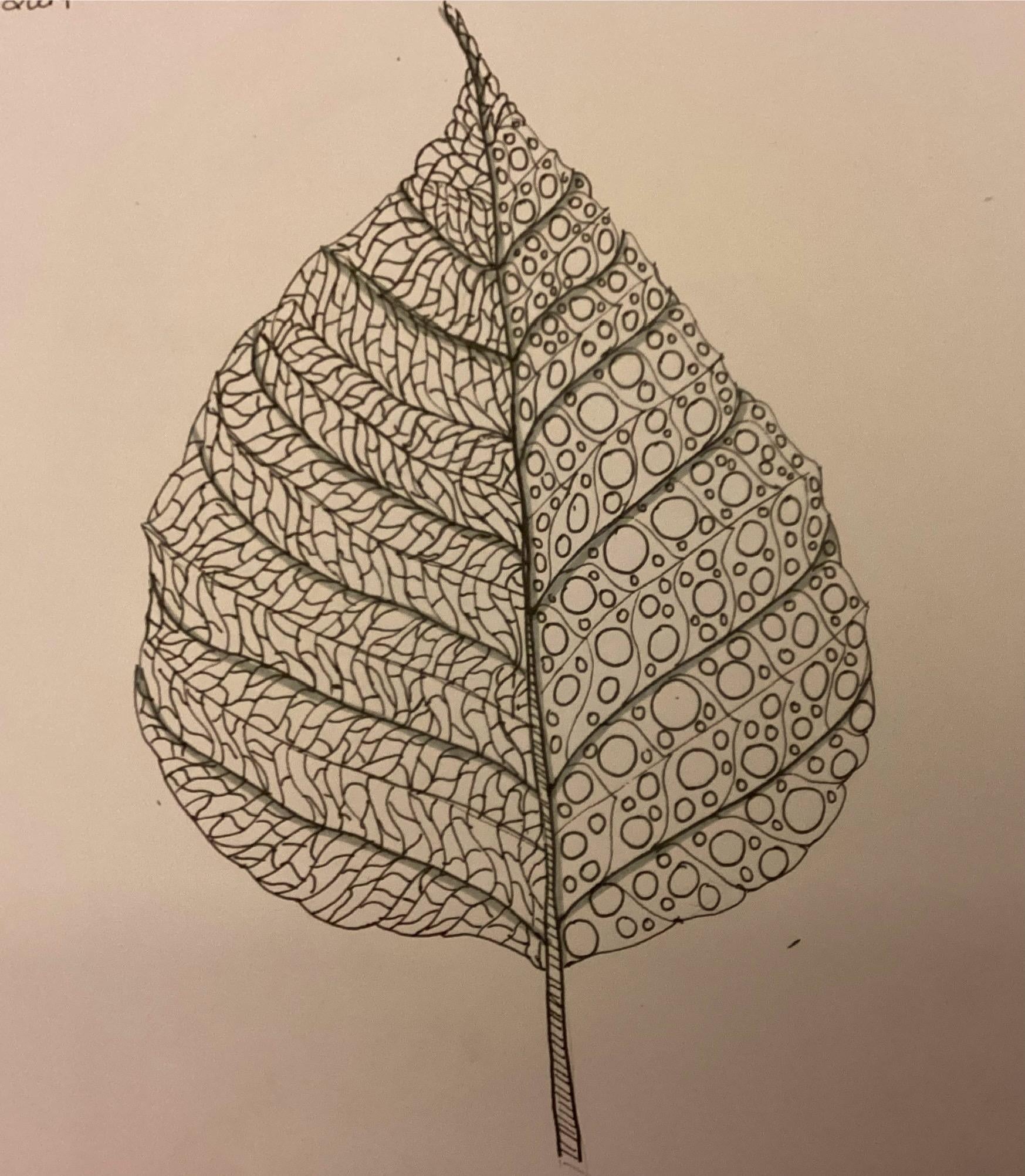 more-projects-from-class-img