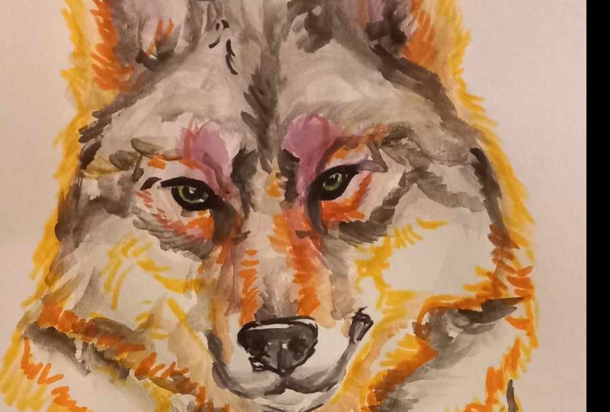 1 day - student project