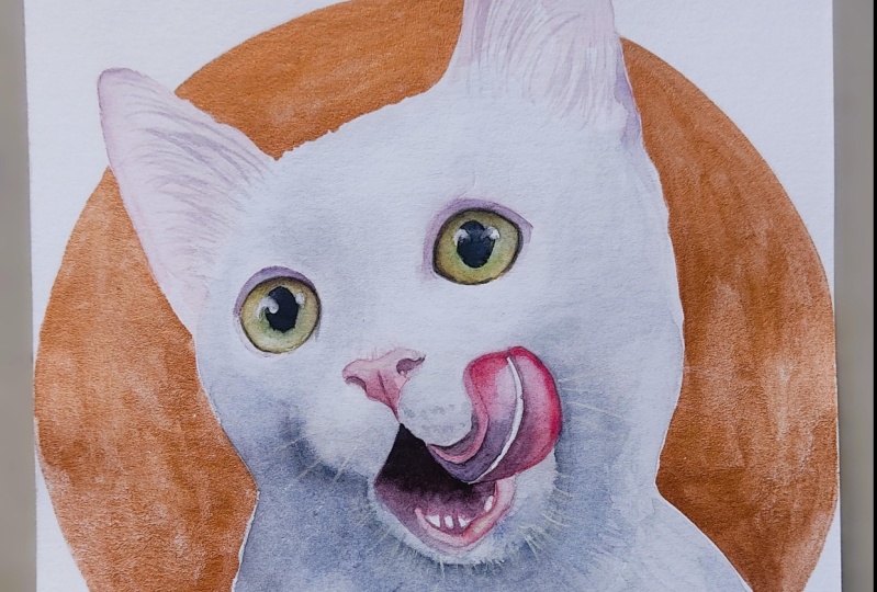 Gato blanco