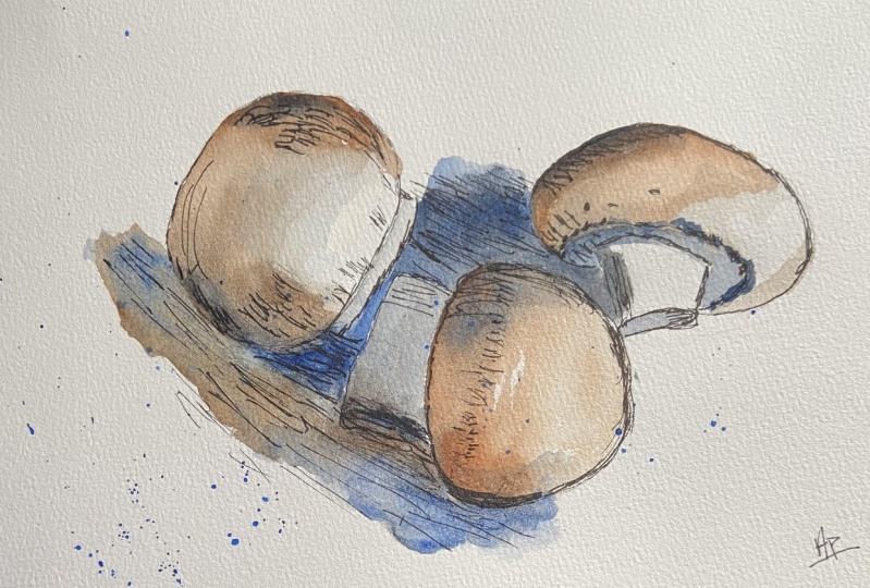 How to sketch fruits & veggies in watercolour & pen