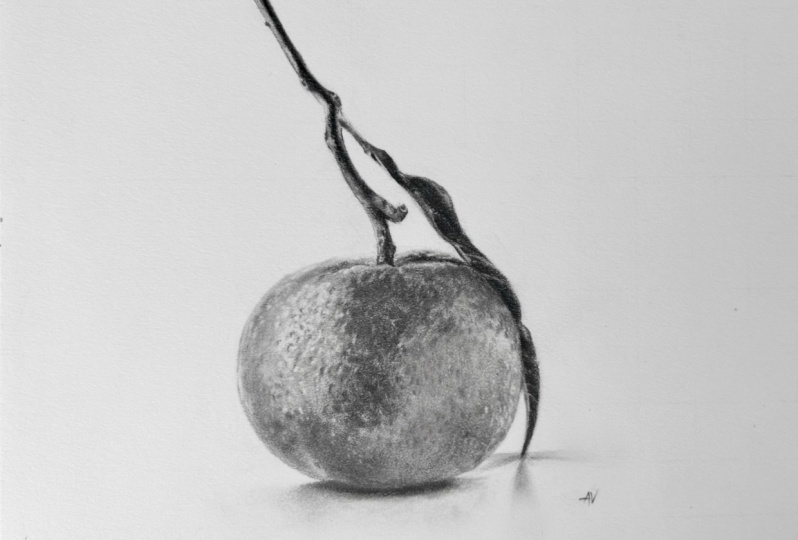 Realistic Sketch - Graphite