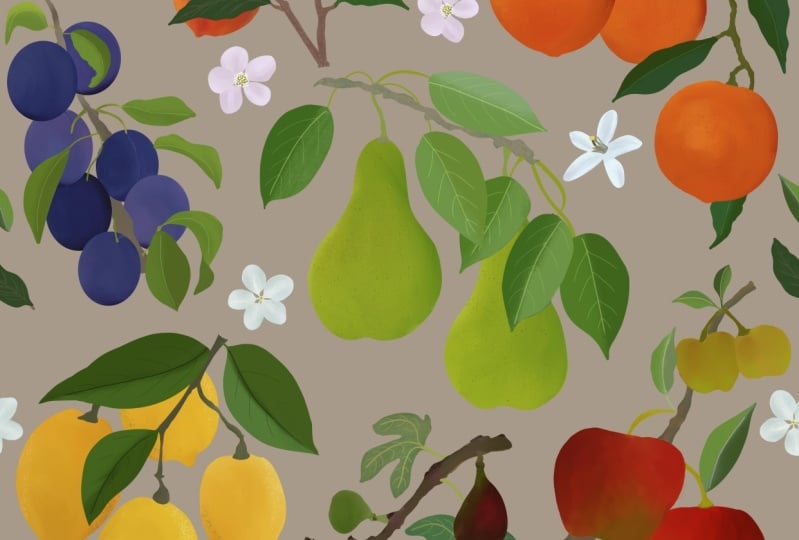 7 Fruit Composition