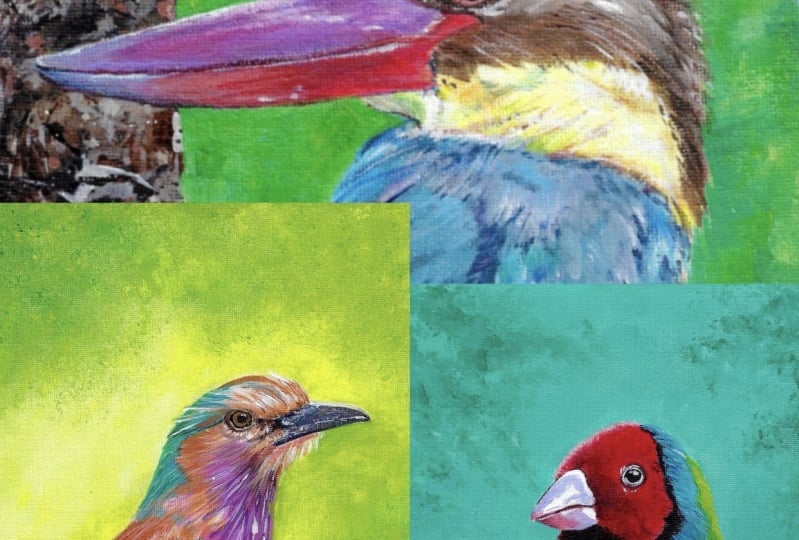 "A Colorful Flight Through Life"