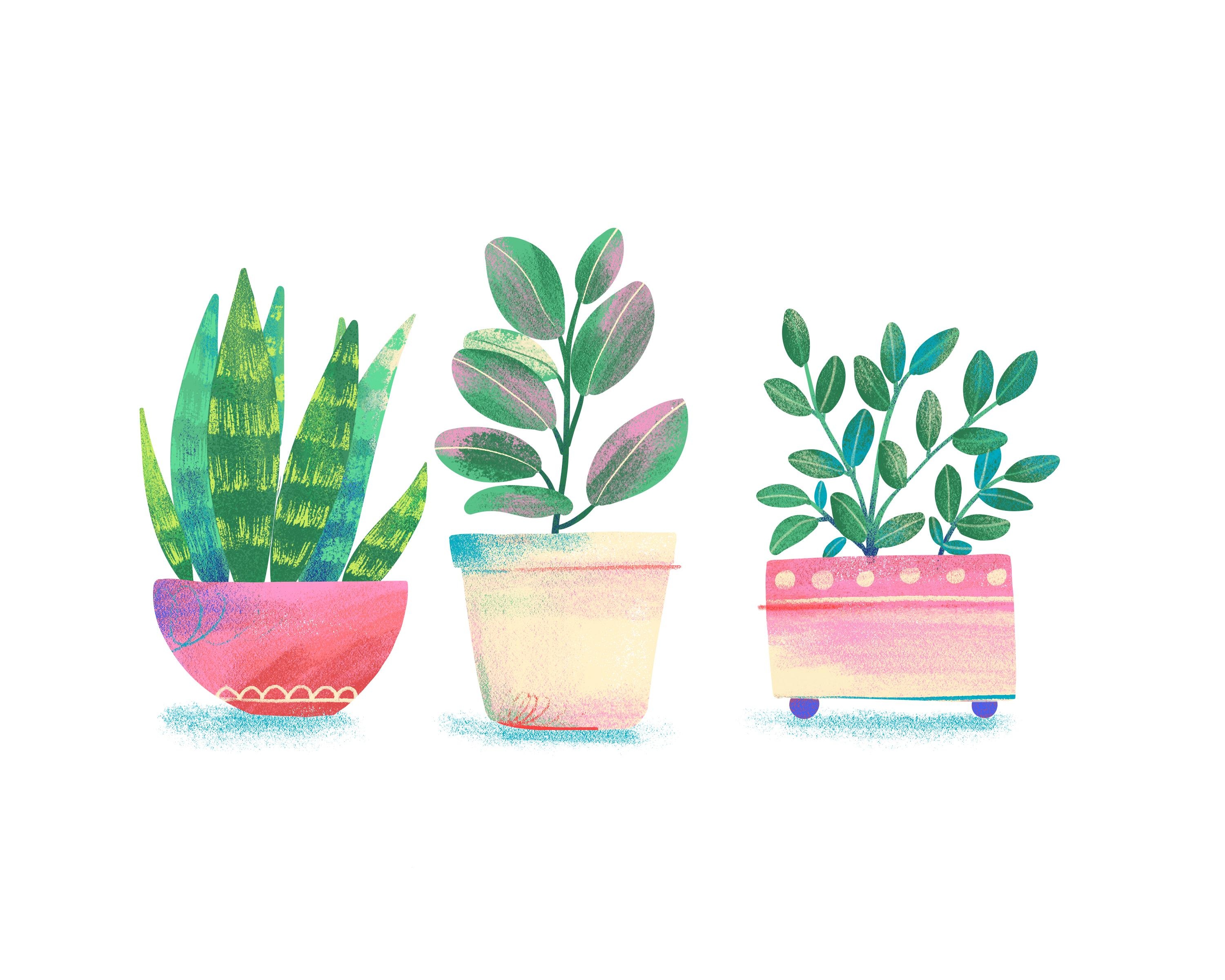 Plants in Fresco - student project