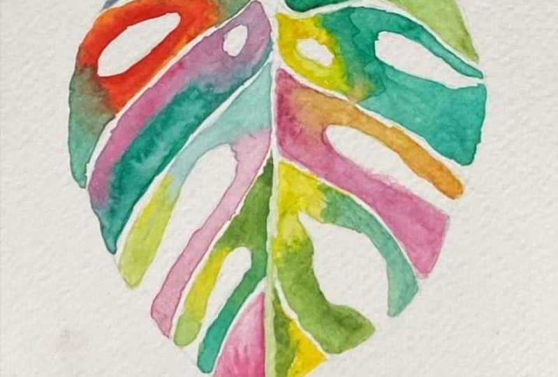 Monstera leaf