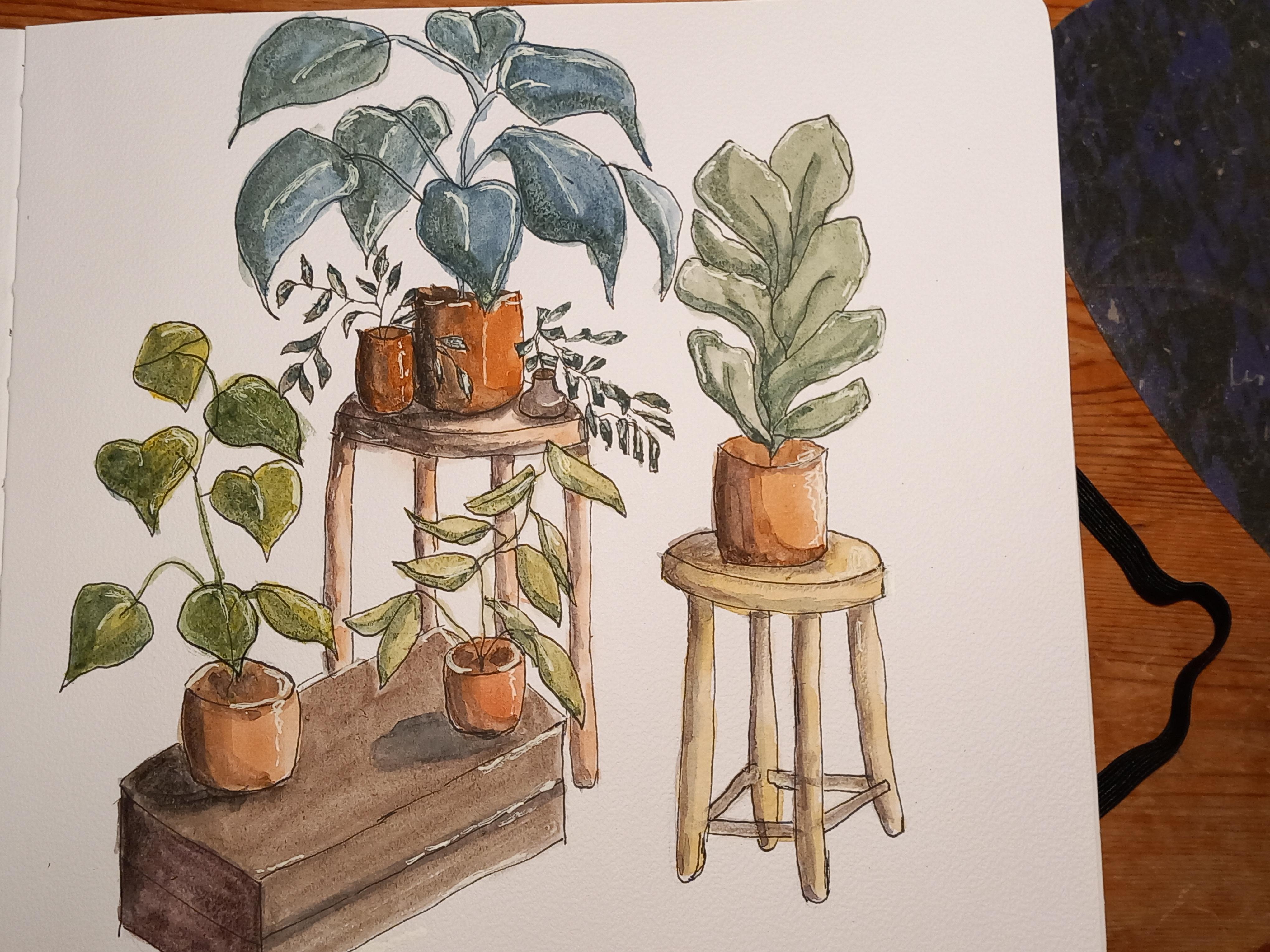 more-projects-from-class-img