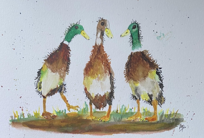 3 Duck painting in watercolour with Carrie McKenzie