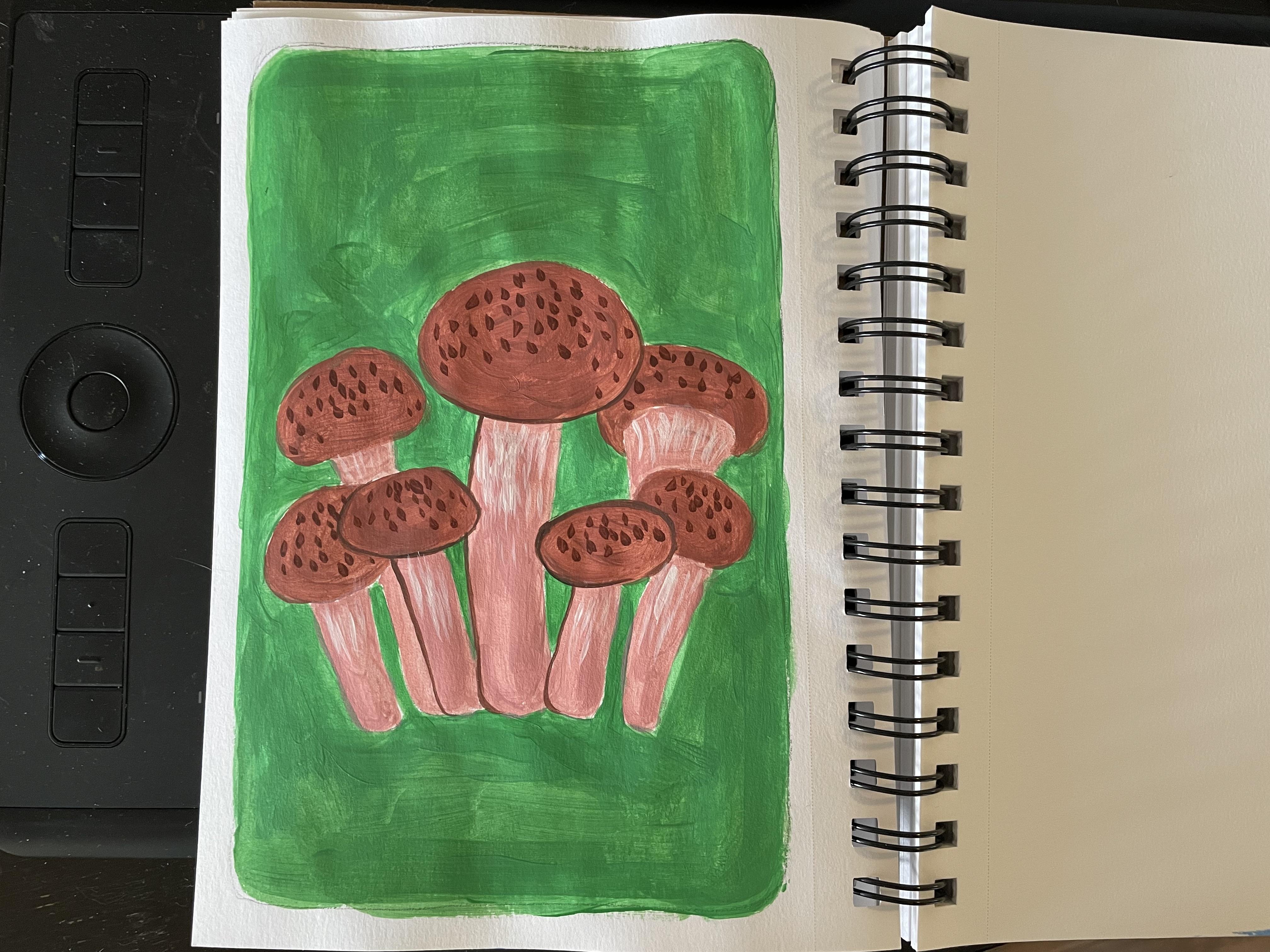 more-projects-from-class-img
