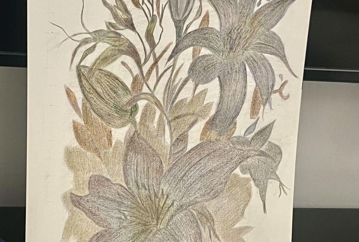 Flowers - student project