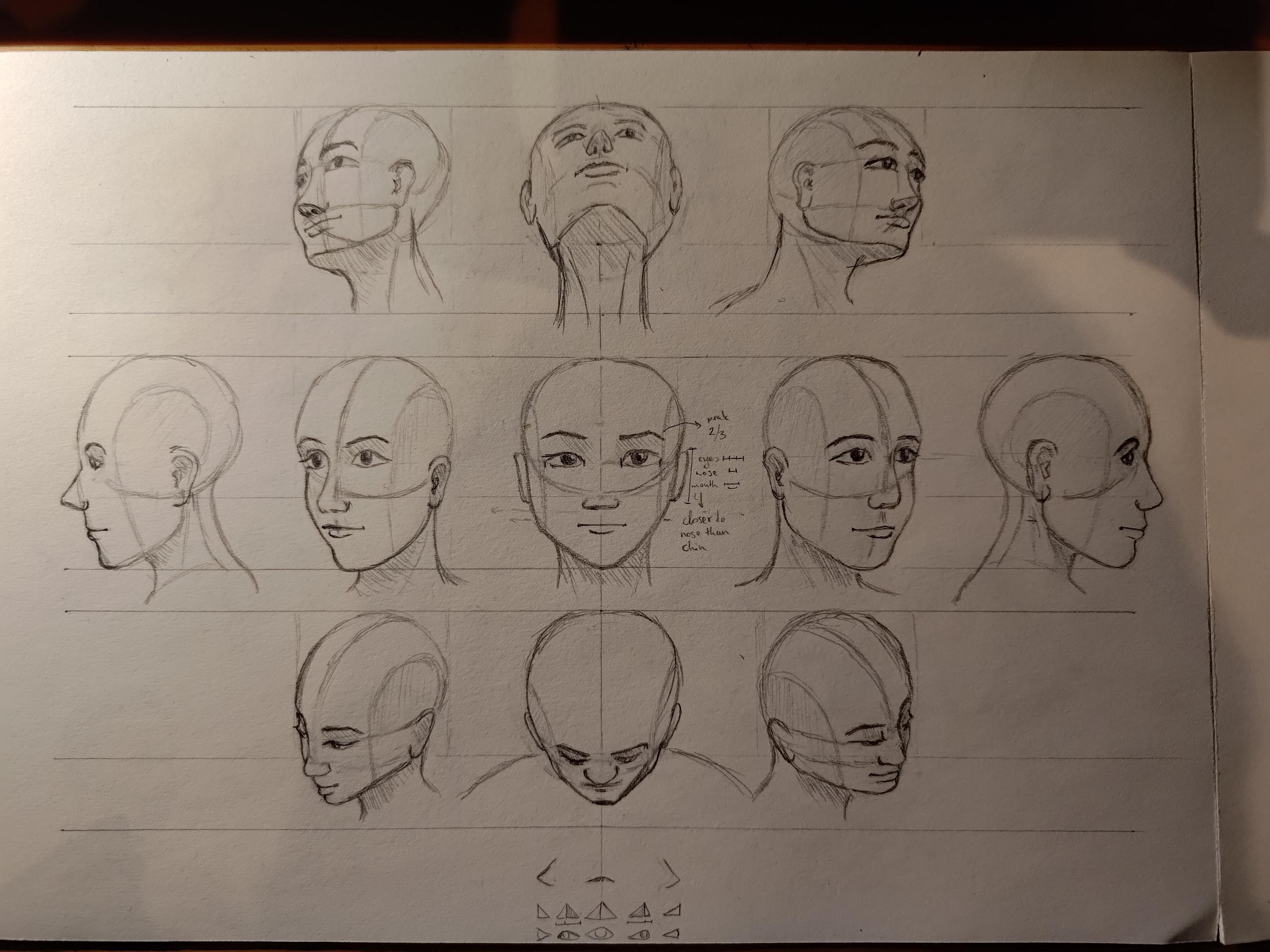 Como desenhar rostos e ângulos de cabeça para retrato / desenho de figura /  design de personagem | Winged Canvas | Skillshare, image size:4096x3072