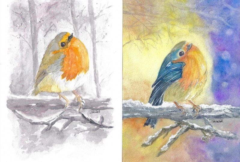 A Robin's Respite: A Wintery Oasis of Comfort, Food and Sleep