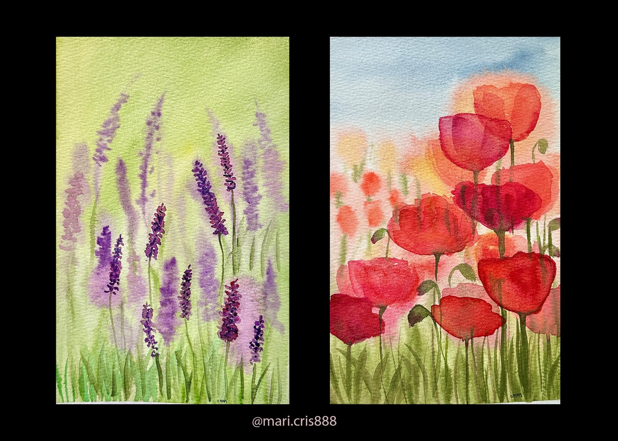 Poppies and Lavanders - student project