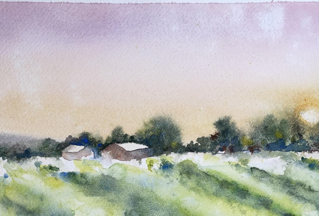 Campo - student project