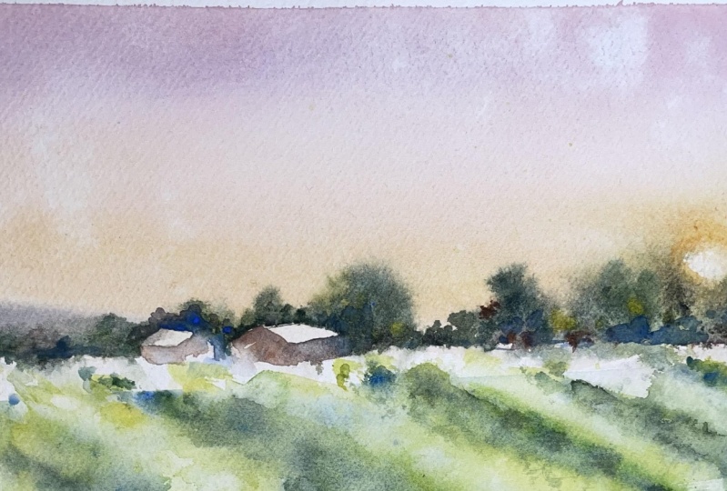 Campo