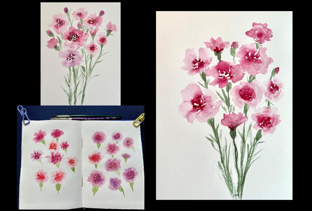 Carnation - student project