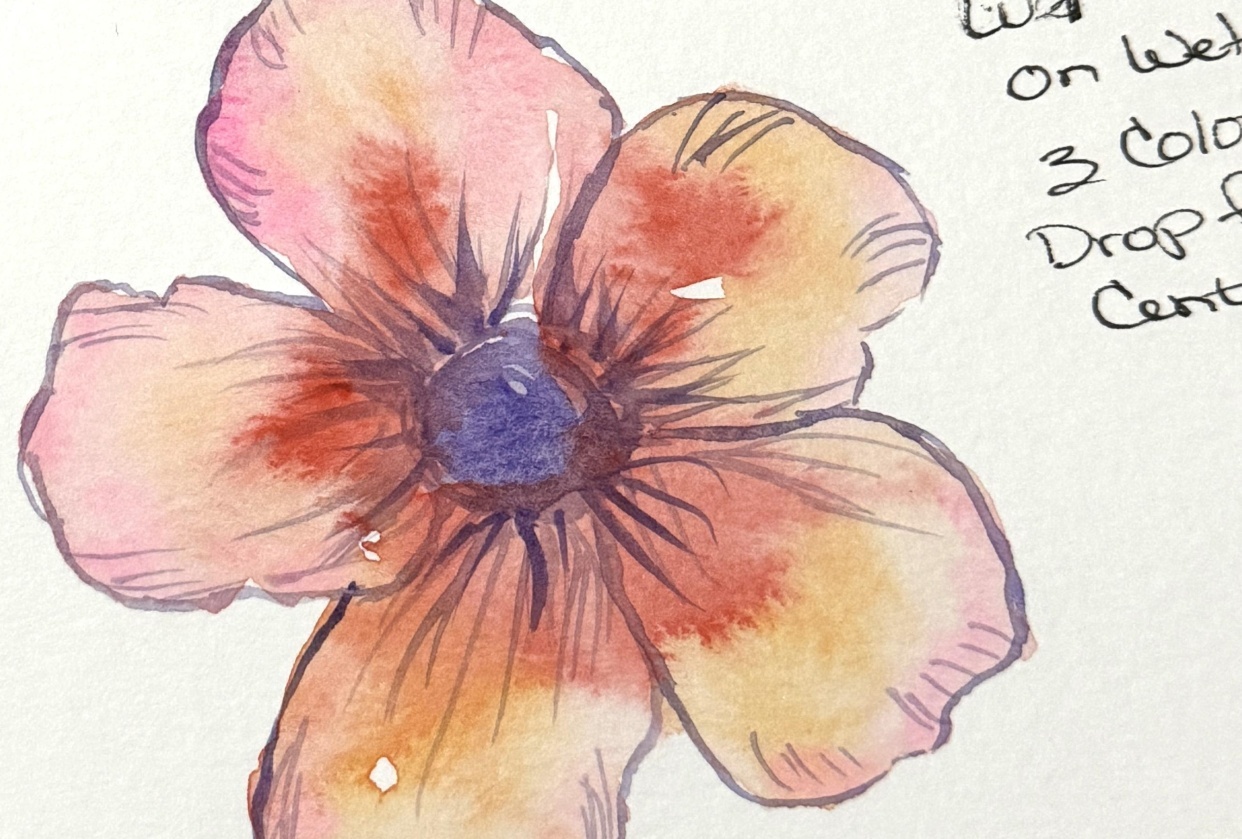 Wet on Wet Wins! - student project