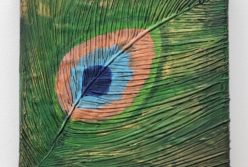 Peacock feather