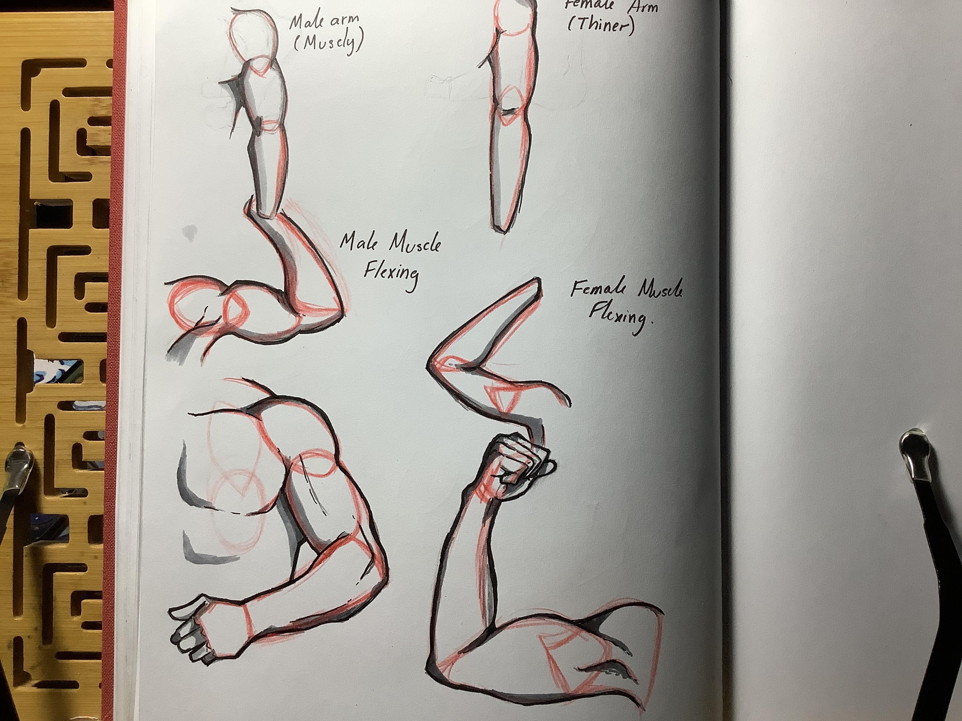 more-projects-from-class-img