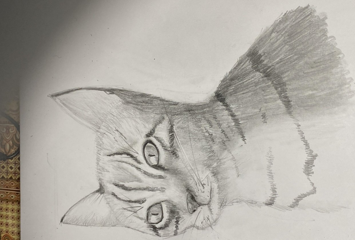 I tried - student project