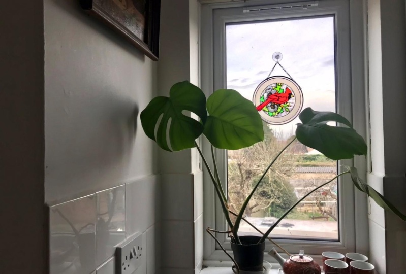 Kitchen window corner