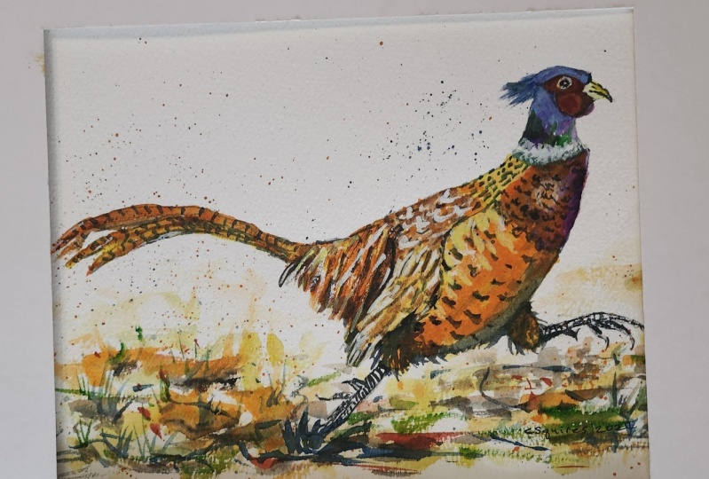 Pheasant