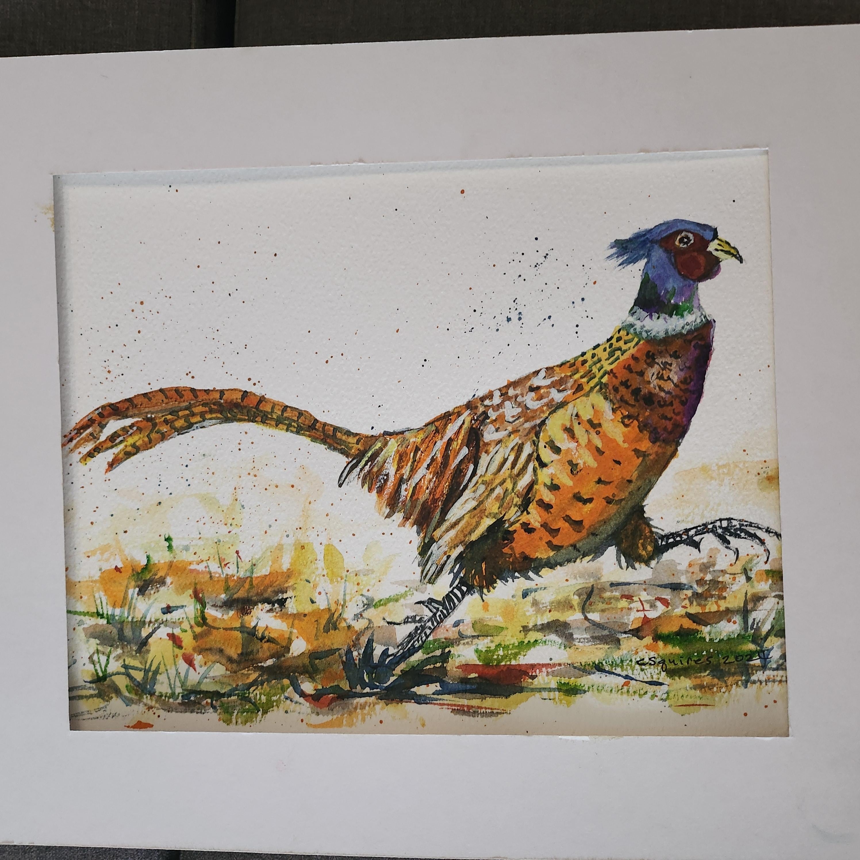 Pheasant - student project