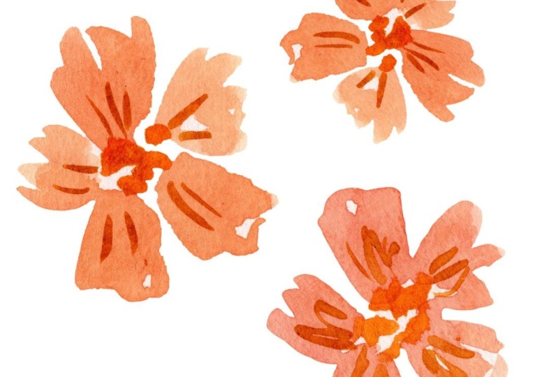 Watercolour florals