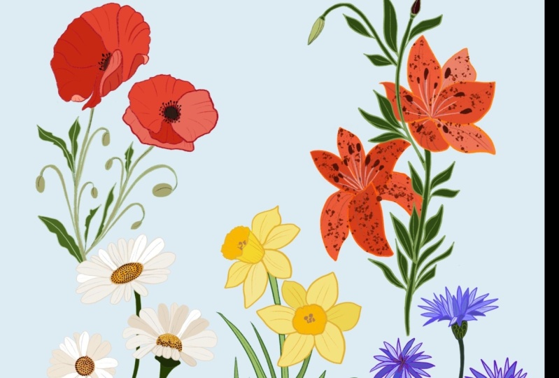 Wild flowers