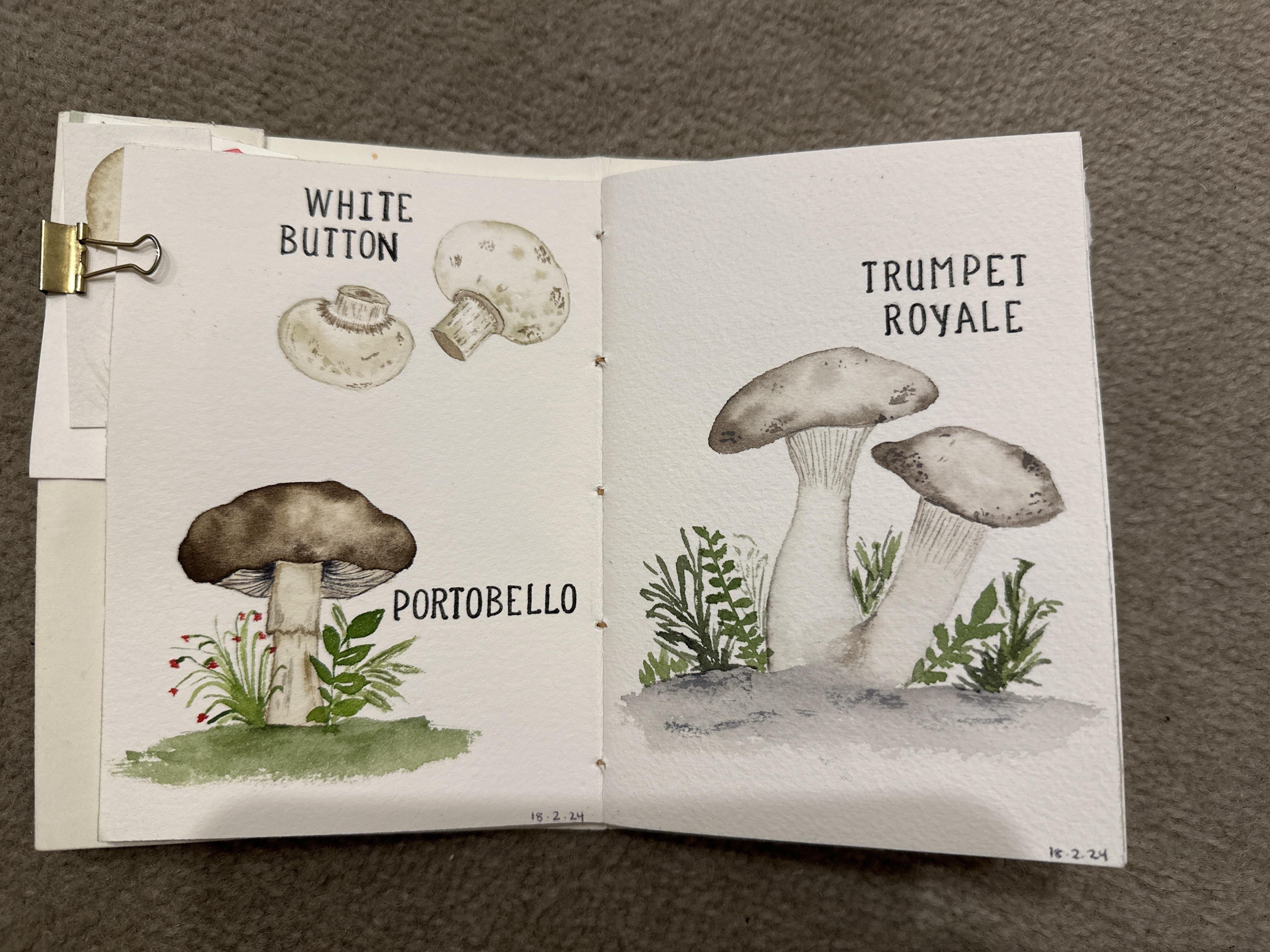 Watercolour mushrooms - student project